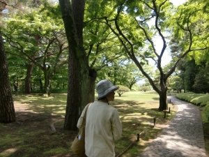 新緑の今、ベストな時期に行けてよかった。）