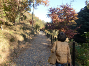 この日は2万歩、歩いた。 この日は2万歩、歩いた。