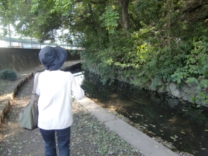 よく見ると、川の中には小さな魚がたくさんいた。目で追えないくらい速く動いていた。